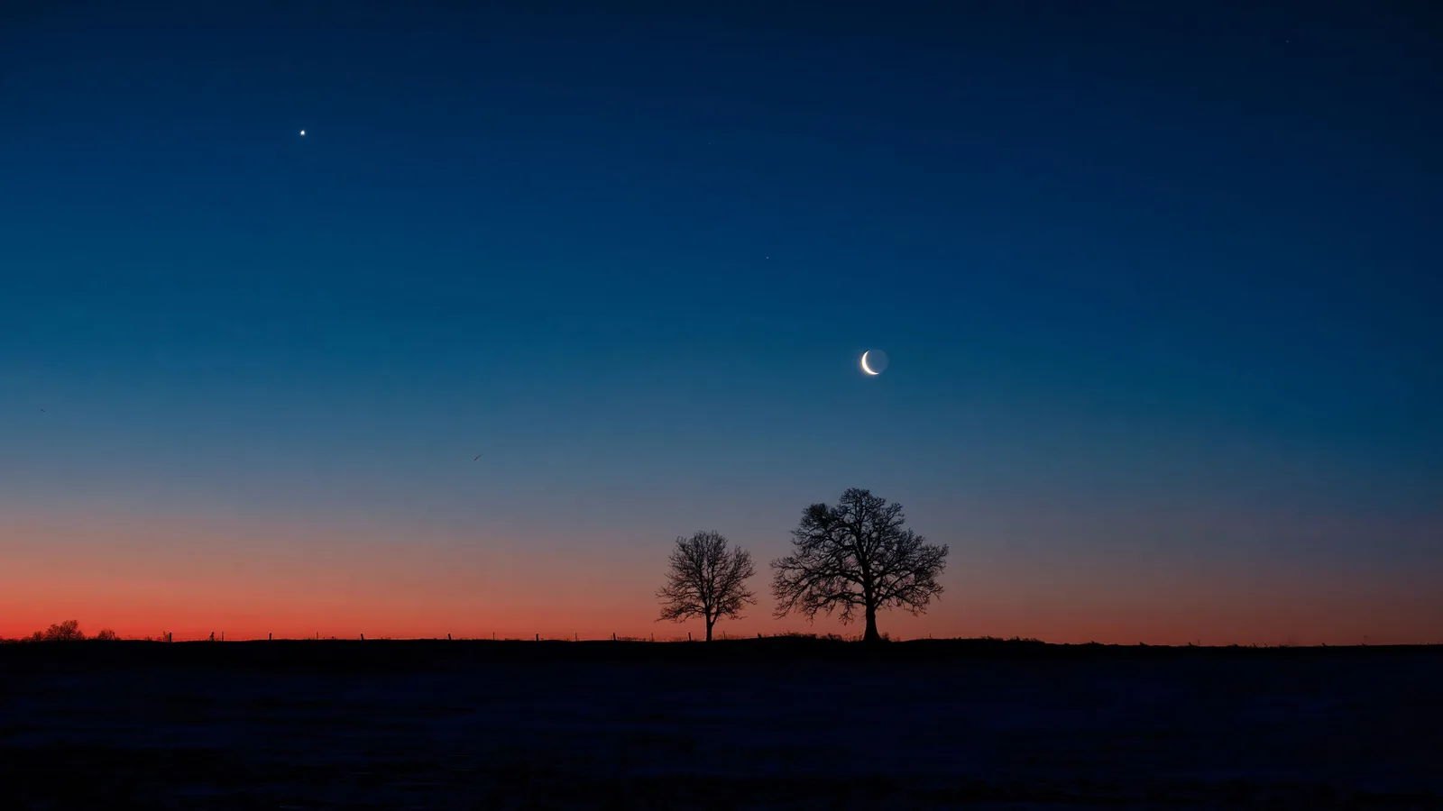 Silhouetted trees on a flat horizon at dusk, with a crescent moon and a bright star in the deep blue sky